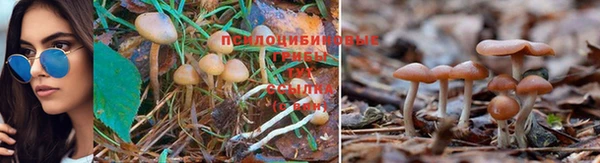 соль ск Рославль