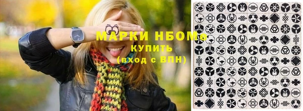 apvp Алзамай