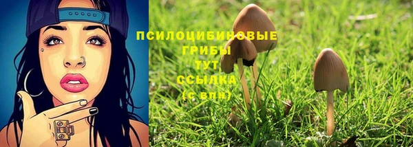 ПСИЛОЦИБИНОВЫЕ ГРИБЫ Алексин