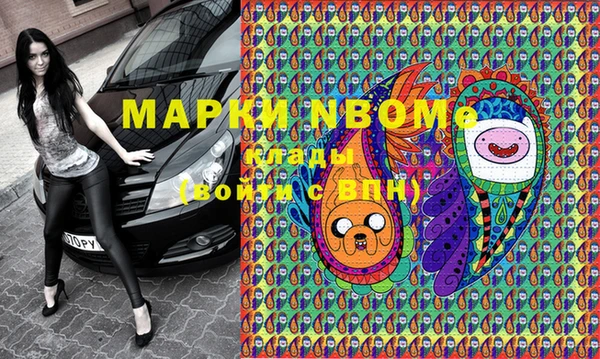 apvp Алзамай