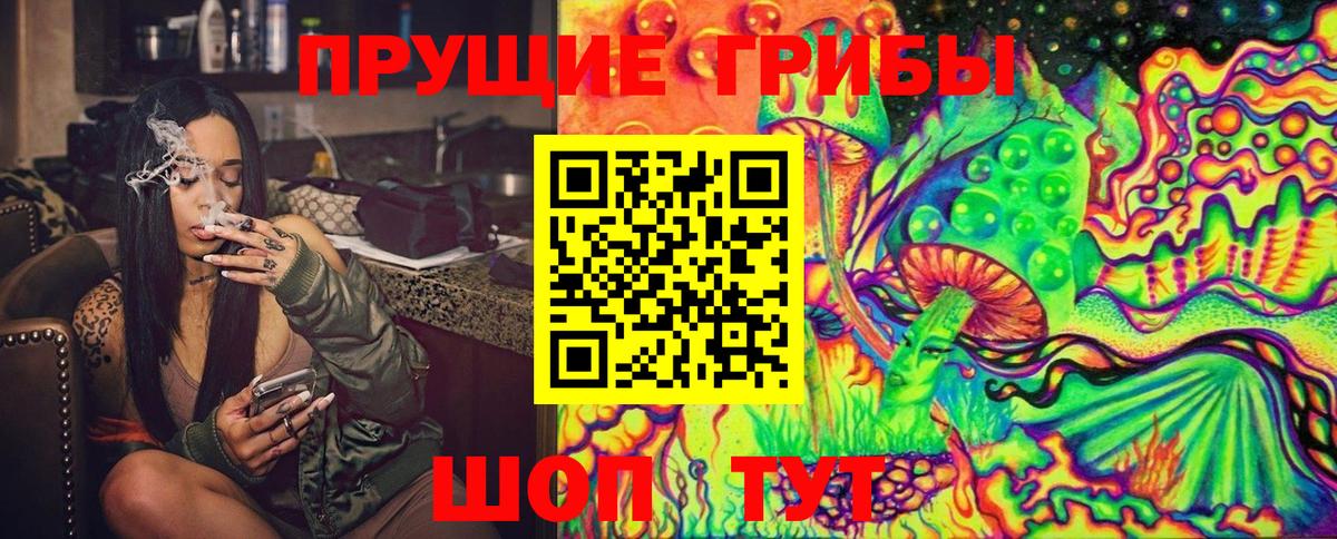 Павлово  Галлюциногенные грибы Psilocybe  дарнет шоп  Вход с VPN  Галлюциногенные грибы MAGIC MUSHROOMS 