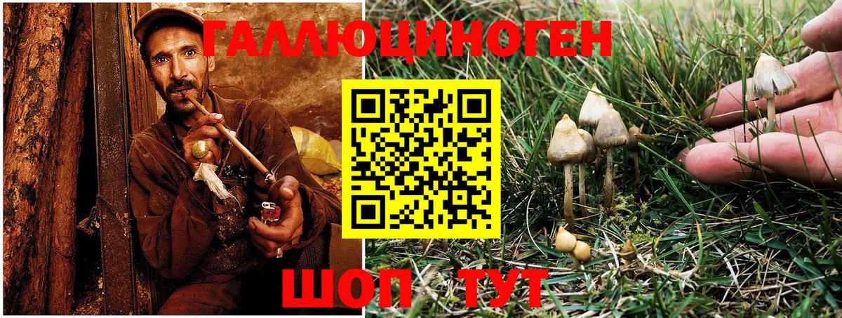 Галлюциногенные грибы GOLDEN TEACHER Павлово